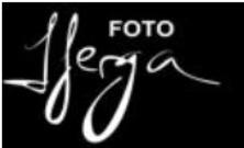 Colaboradores